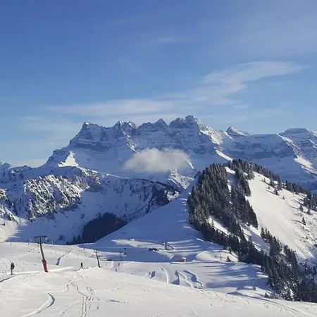Ravissant Avec Terrasse A Torgon