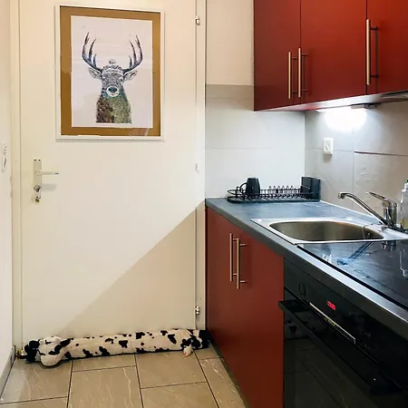 Ravissant Avec Terrasse A Torgon *